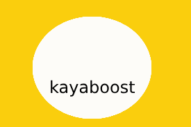 kayaboost.com